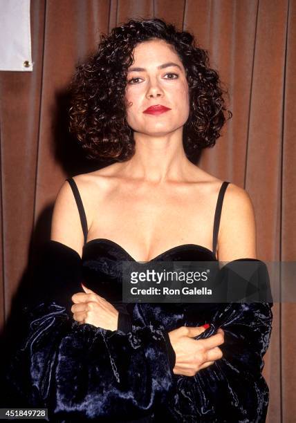 Actress Joyce Hyser attends the Center for Population Options' Seventh Annual Nancy Susan Reynolds Awards on November 13, 1991 at the Regent Beverly...