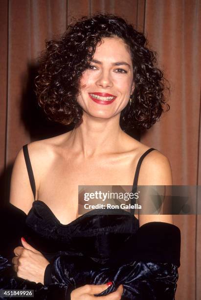 Actress Joyce Hyser attends the Center for Population Options' Seventh Annual Nancy Susan Reynolds Awards on November 13, 1991 at the Regent Beverly...