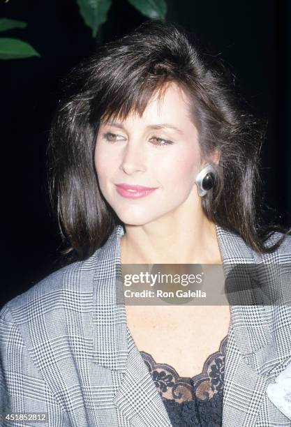 Actress Karen Kopins attends the Press Conference to Announce the Production of FOX Broadcasting Company's New Series "Angels '88" on May 5, 1988 at...