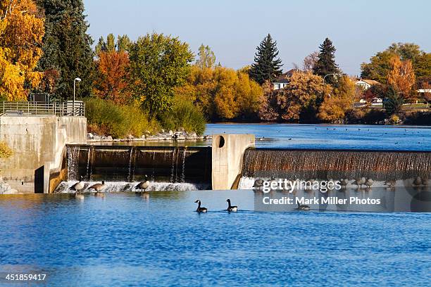 idaho falls city park along the snake river - snake river falls stock pictures, royalty-free photos & images