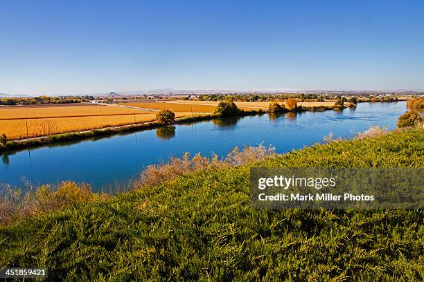 pretty fall scenery along the snake river - bonneville county idaho stockfoto's en -beelden