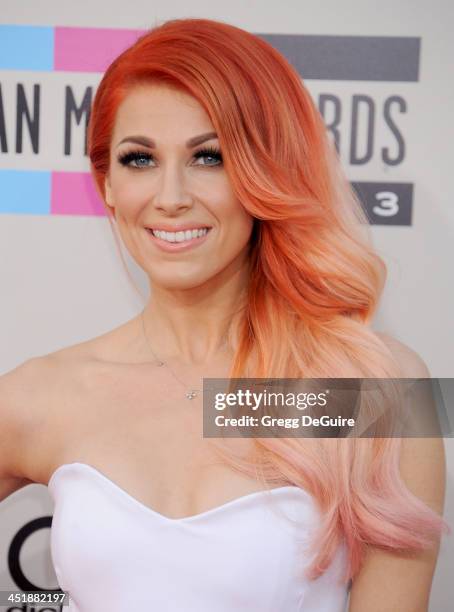 Singer/songwriter Bonnie McKee arrives at the 2013 American Music Awards at Nokia Theatre L.A. Live on November 24, 2013 in Los Angeles, California.