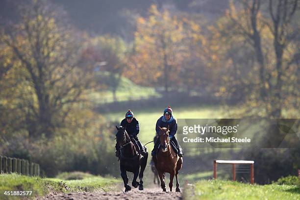 Astracad and Double Ross work out on the gallops of Nigel Twiston-Davies ahead of the Paddy Power Gold Cup at Grange Hill Farm on November 12, 2013...