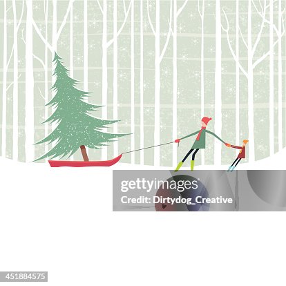 Christmas tree pulled on sledge through forest Christmas tree pulled on sledge through forest