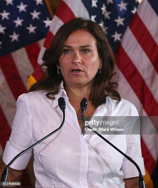 Ilyse Hogue President of NARAL speaks about the Supreme Courts recent Hobby Lobby decision, during a news conference on Capitol Hill, July 9, 2014 in...