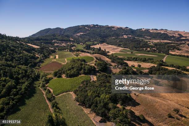 Sonoma County's Bennett Valley wine region is viewed from the air on June 18 near Santa Rosa, California. Known primarily for merlot and sauvignon...