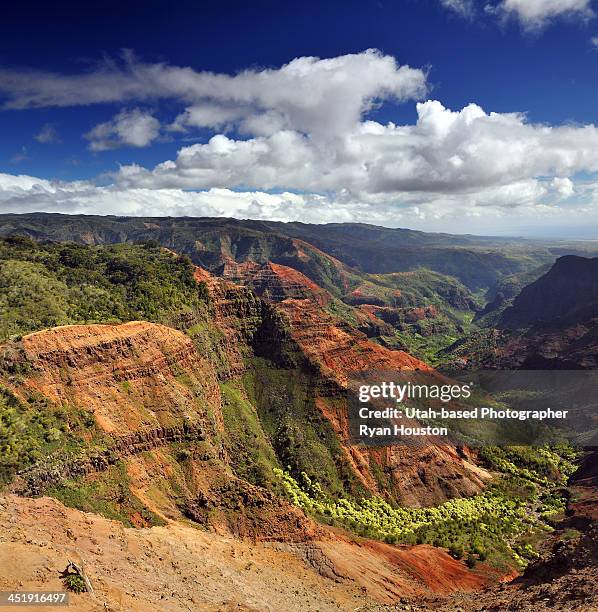 waimea canyon state park kauai hawaii overlook - waimea canyon state park stock pictures, royalty-free photos & images