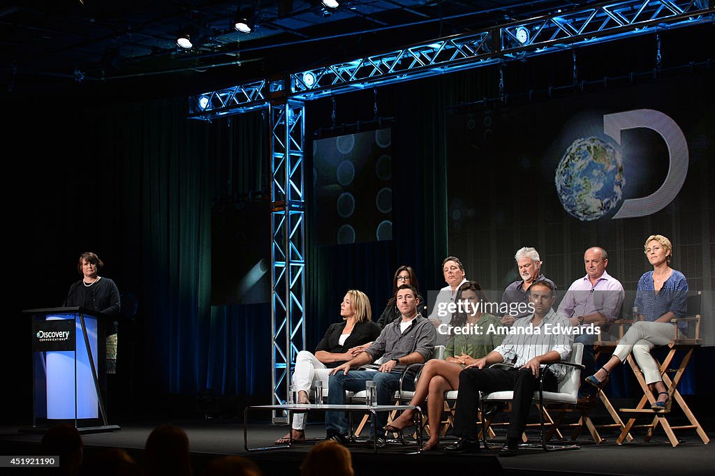 Discovery Summer TCA 2014