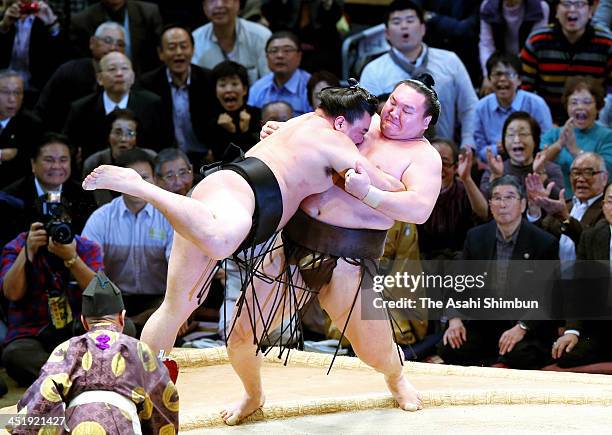 Mongolian yokozuna Harumafuji , whose real name is Altangadasyn Khuchitbaatar pushes his fellow yokozuna Hakuho, whose real name is Mnkhbatyn...