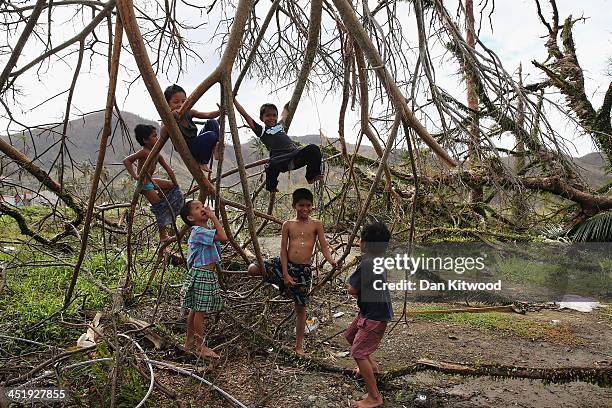Children play in a tree in the devastated town of Tanauan on November 16, 2013 in Leyte, Philippines. Typhoon Haiyan which ripped through Philippines...