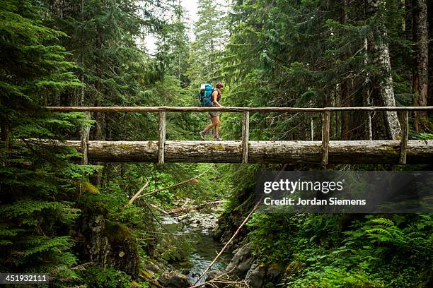 woman hiking outdoors - bridge side view stock pictures, royalty-free photos & images