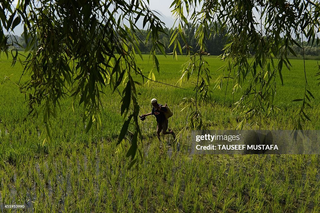 INDIA-ECONOMY-BUDGET