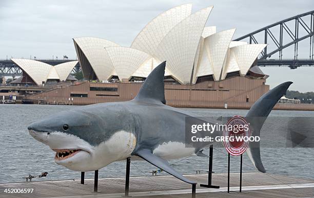 Gigantic 7.4 metre Great White Shark replica "floats" into Sydney Harbour on November 26, 2013 as it returns from Melbourne after being away for over...