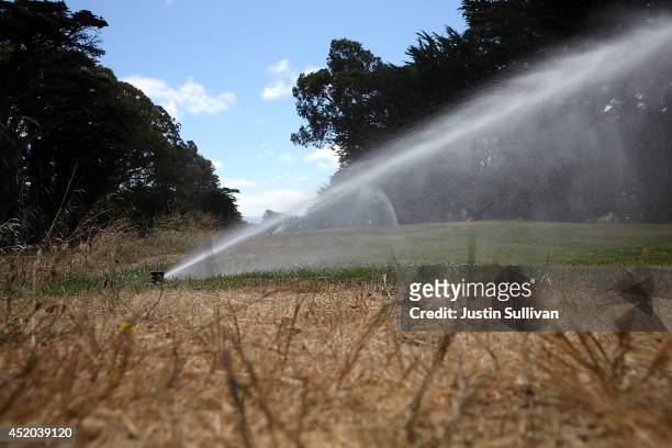 Tee box is watered by a sprinker at Gleneagles Golf Course on July 11, 2014 in San Francisco, California. As the severe drought in California...