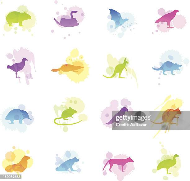 stains icons - tasmanian animals - wombat white background stock illustrations