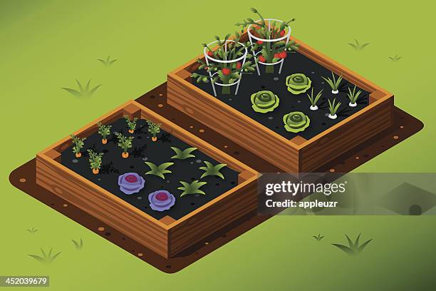 illustrations, cliparts, dessins animés et icônes de isométrique jardin potager - garden
