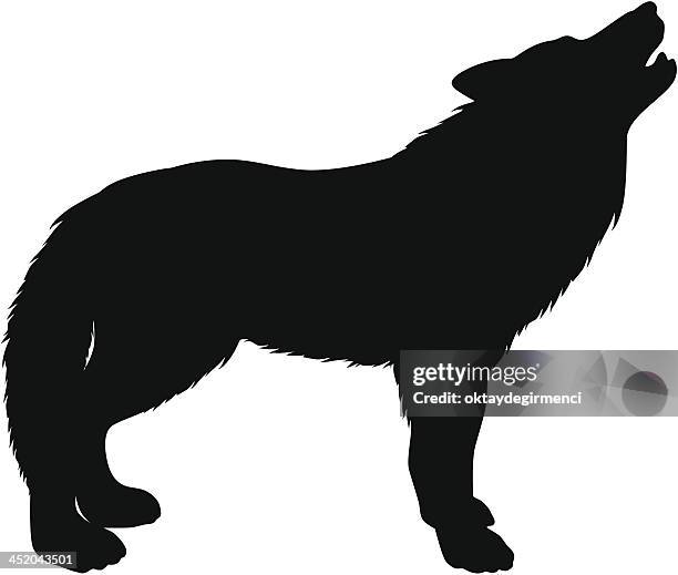 stockillustraties, clipart, cartoons en iconen met wolf - wolf