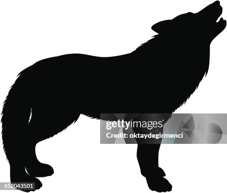 Wolf Wolf