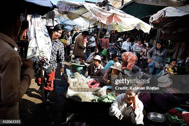 Customers and traders start very early in the morning in a wet market on November 26, 2013 in Siem Reap, Cambodia. Cambodian continues their daily...