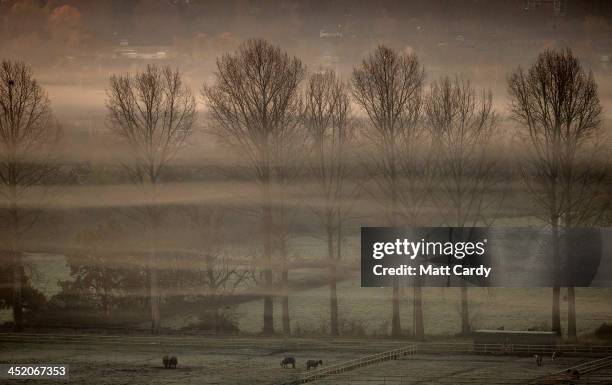 Mist lingers around trees on the Somerset Levels as the early morning sun rises on November 26, 2013 in Glastonbury, England. After a later than...