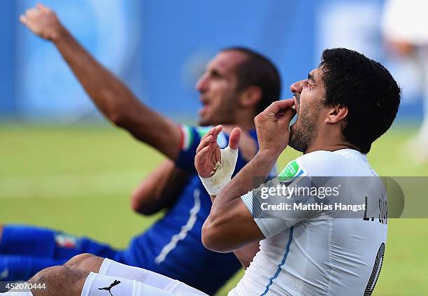 Luis Suarez of Uruguay and Giorgio Chiellini of Italy react after a clash during the 2014 FIFA World Cup Brazil Group D match between Italy and...