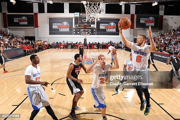 Brandon Triche of the New York Knick grabs a reboundl against the Portland Trail Blazers at the Samsung NBA Summer League 2014 on July 12, 2014 at...