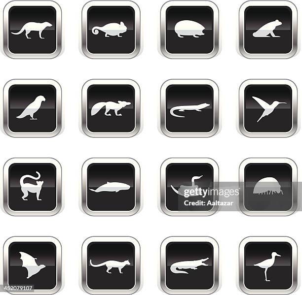 supergloss schwarz icon-vanille tiere - fingertier stock-grafiken, -clipart, -cartoons und -symbole