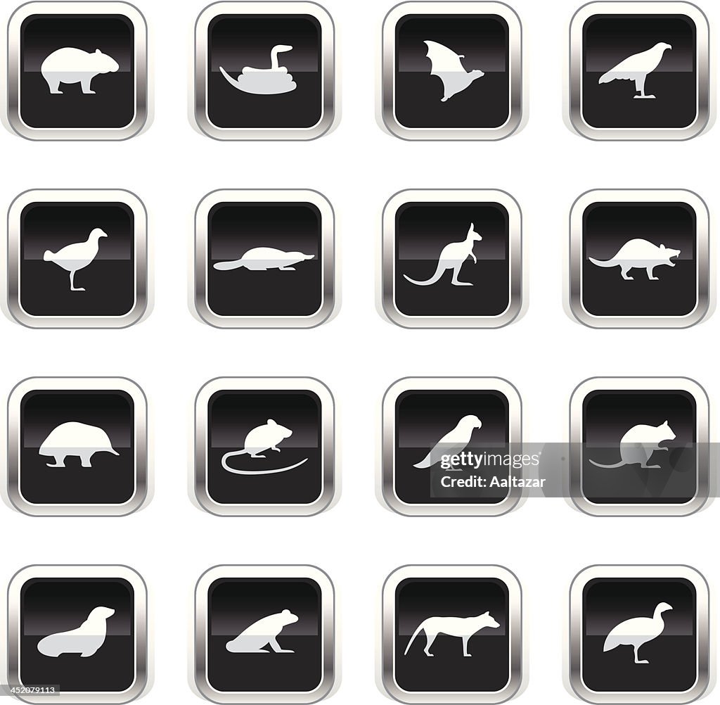 Supergloss Black Icons - Tasmanian Animals
