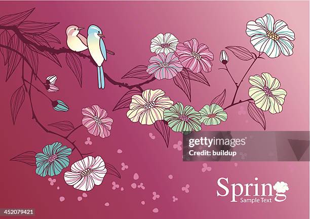 cherry blossom - apricot blossom stock illustrations