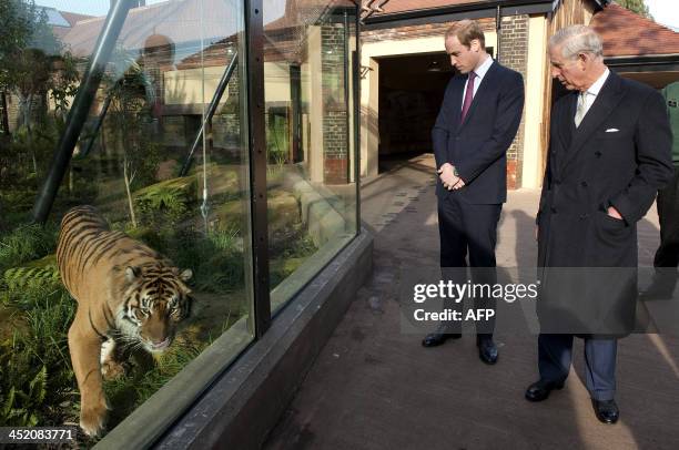 Britain's Prince Charles, Prince of Wales , and his son Prince William, Duke of Cambridge, visit the Zoological Society of London to attend a meeting...