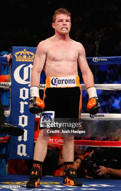 Canelo Alvarez stands in the ring between rounds during his junior middleweight bout against Erislandy Lara at the MGM Grand Garden Arena on July 12,...