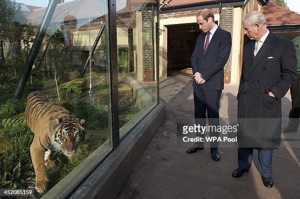 Prince William, Duke of Cambridge and Prince Charles, Prince of Wales meet "Jae Jae" a Summatran Tiger, as they attend a meeting of 'United for...