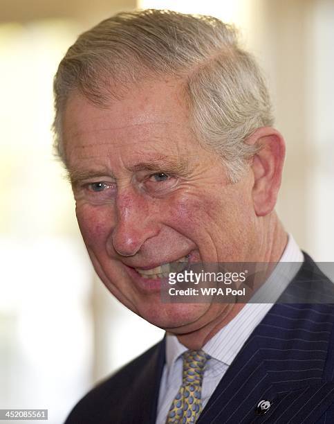 Prince Charles, Prince of Wales smiles as he attends a meeting of 'United for Wildlife' at the Zoological Society of London on November 26, 2013 in...