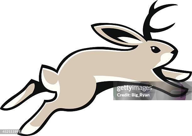 jackalope - jackrabbit stock illustrations