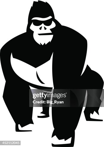 Attitude gorilla Attitude gorilla