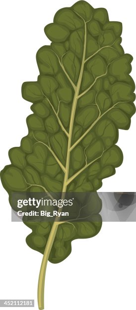 Kale leaf Kale leaf