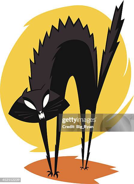 ilustrações de stock, clip art, desenhos animados e ícones de preto gato assustado - territorial animal