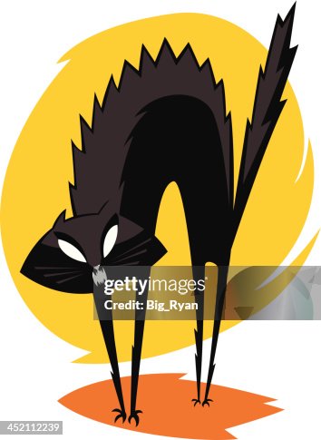 Scared black cat Scared black cat