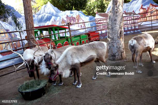 General view of atmosphere during the councilman Tom LaBonge kicks off the L.A. Zoo's holiday festivities and welcomes Santa and his reindeer to the...