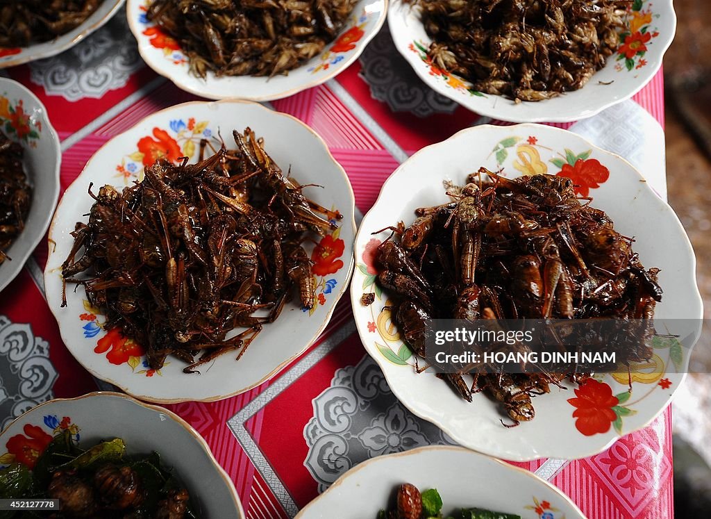 LAOS-ECONOMY-AGRICULTURE-FOOD
