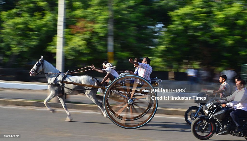 Horsecart Racing In Allahabad