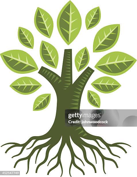 Tree With Roots Animation Photos and Premium High Res Pictures - Getty ...