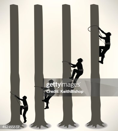 Tree Climber - Lumberjack Tree Climber - Lumberjack