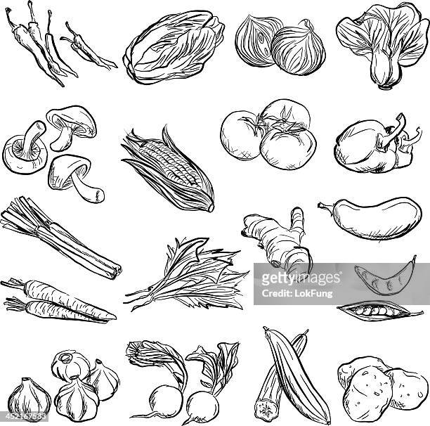 stockillustraties, clipart, cartoons en iconen met vegetable in charcoal sketch style - black and white food illustration