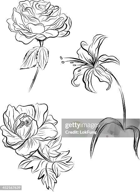 blumen in skizze stil - lilien stock-grafiken, -clipart, -cartoons und -symbole