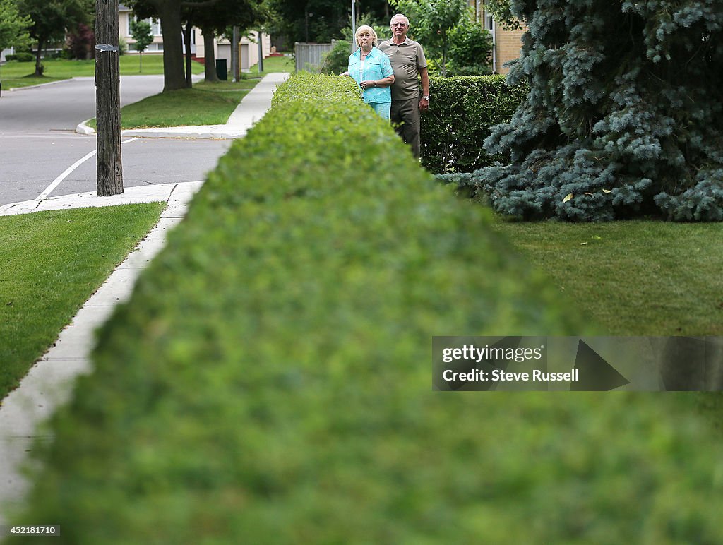 Hedge Wars