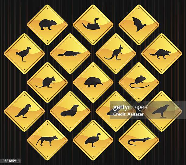 yellow road signs - tasmanian animals - quokka australia stock illustrations