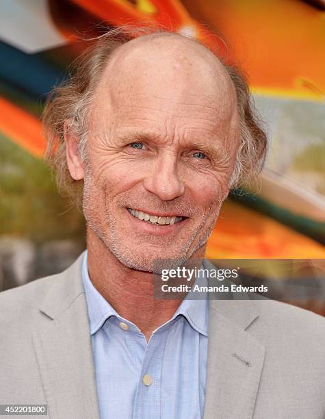 Actor Ed Harris arrives at the Los Angeles premiere of Disney's "Planes: Fire & Rescue" at the El Capitan Theatre on July 15, 2014 in Hollywood,...