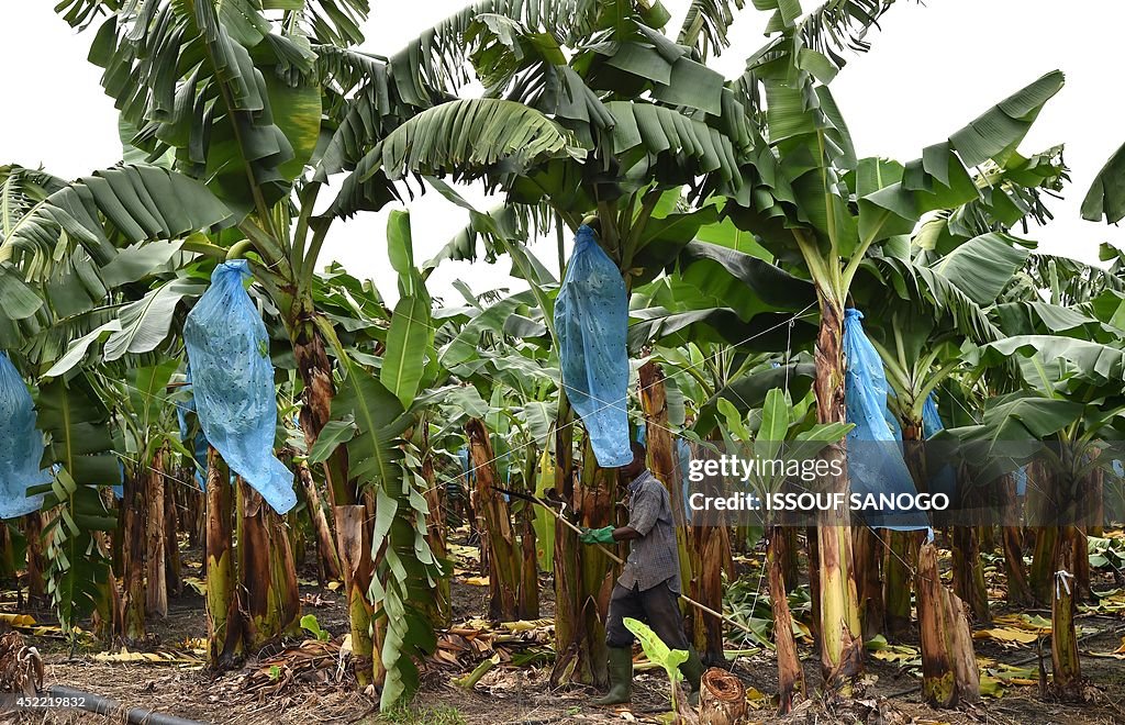 ICOAST-FLOOD-AGRICULTURE