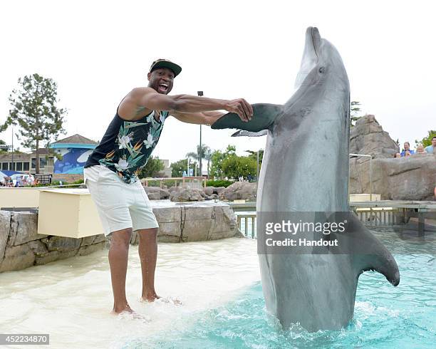 In this handout photo provided by SeaWorld San Diego, NBA superstar Dwyane Wade makes a new friend in Crunch the bottlenose dolphin at SeaWorld San...